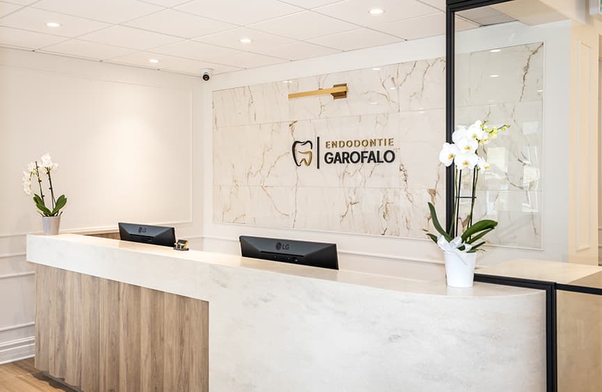 Welcoming reception and consultation area